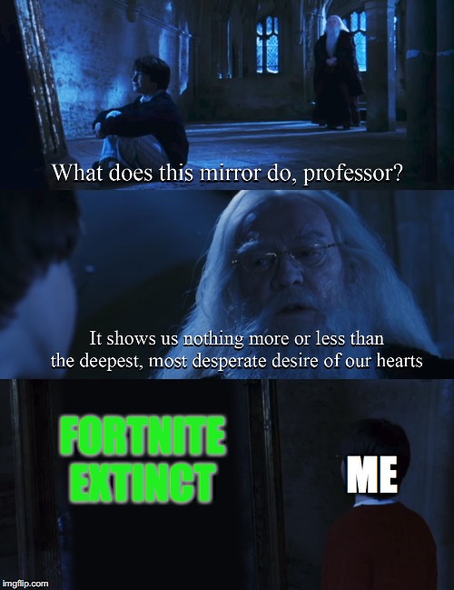 Harry potter mirror | FORTNITE EXTINCT; ME | image tagged in harry potter mirror | made w/ Imgflip meme maker