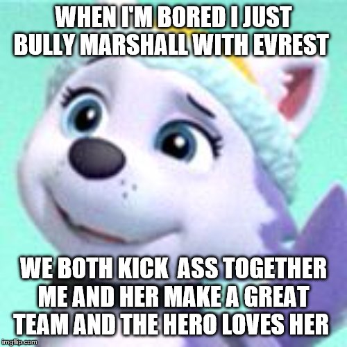 evrest meme | WHEN I'M BORED I JUST BULLY MARSHALL WITH EVREST; WE BOTH KICK  ASS TOGETHER ME AND HER MAKE A GREAT TEAM AND THE HERO LOVES HER | image tagged in everest paw patrol | made w/ Imgflip meme maker