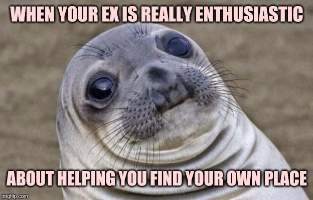 Awkward Moment Sealion | WHEN YOUR EX IS REALLY ENTHUSIASTIC; ABOUT HELPING YOU FIND YOUR OWN PLACE | image tagged in memes,awkward moment sealion | made w/ Imgflip meme maker