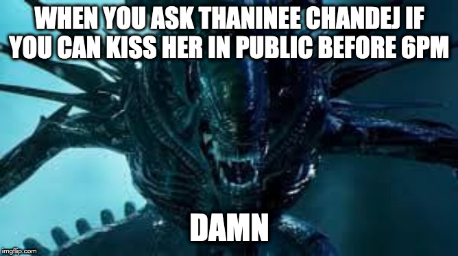 WHEN YOU ASK THANINEE CHANDEJ IF YOU CAN KISS HER IN PUBLIC BEFORE 6PM; DAMN | image tagged in thai | made w/ Imgflip meme maker