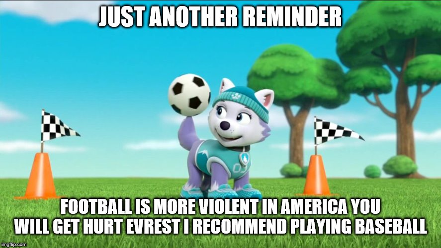 football fail | JUST ANOTHER REMINDER; FOOTBALL IS MORE VIOLENT IN AMERICA YOU WILL GET HURT EVREST I RECOMMEND PLAYING BASEBALL | image tagged in everest spinning a soccer ball on her tail paw patrol | made w/ Imgflip meme maker