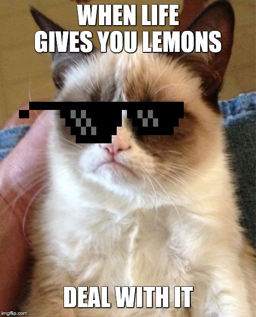 Grumpy Cat Meme | WHEN LIFE GIVES YOU LEMONS; DEAL WITH IT | image tagged in memes,grumpy cat | made w/ Imgflip meme maker