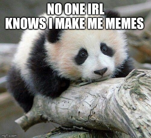 NO ONE IRL KNOWS I MAKE ME MEMES | made w/ Imgflip meme maker