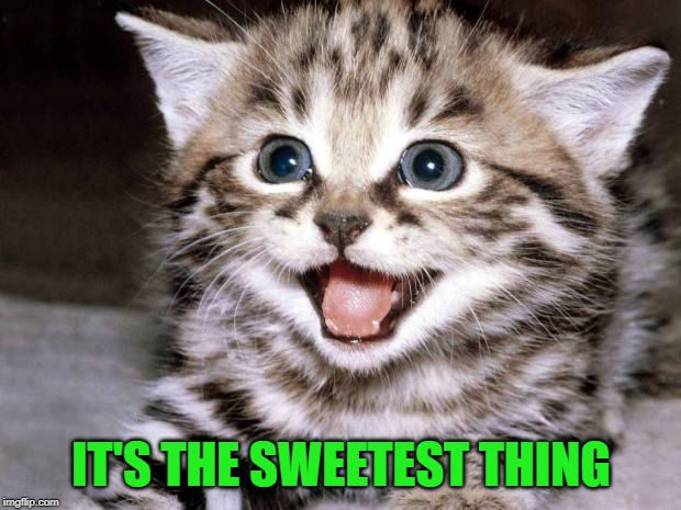 Cute Kitten Hopes | IT'S THE SWEETEST THING | image tagged in cute kitten hopes | made w/ Imgflip meme maker