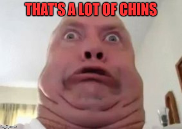 Double chin | THAT'S A LOT OF CHINS | image tagged in double chin | made w/ Imgflip meme maker