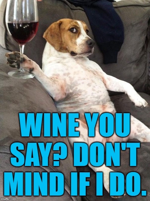 Dog drinking wine | WINE YOU SAY? DON'T MIND IF I DO. | image tagged in dog drinking wine | made w/ Imgflip meme maker