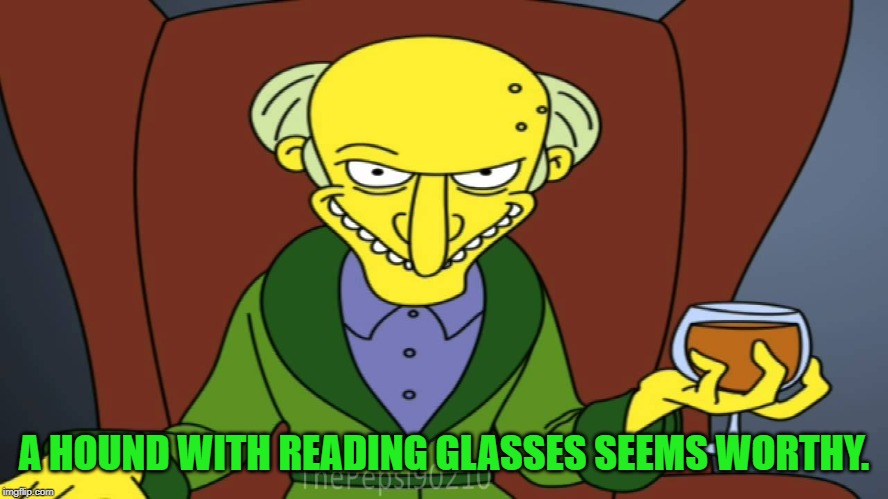 Mr Burns Release The Hounds | A HOUND WITH READING GLASSES SEEMS WORTHY. | image tagged in mr burns release the hounds | made w/ Imgflip meme maker