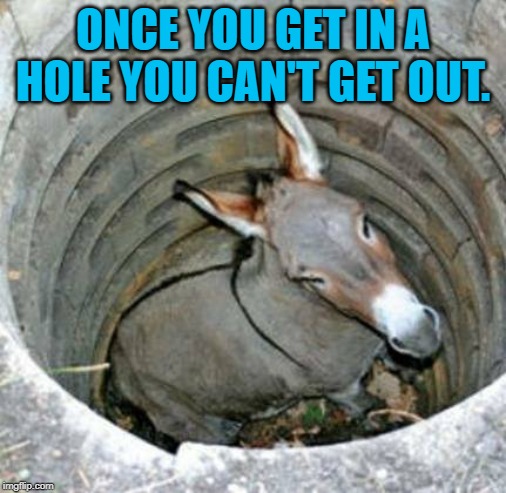 Donkey in a hole | ONCE YOU GET IN A HOLE YOU CAN'T GET OUT. | image tagged in donkey in a hole | made w/ Imgflip meme maker