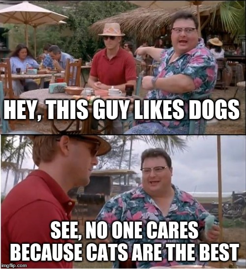 See Nobody Cares | HEY, THIS GUY LIKES DOGS; SEE, NO ONE CARES BECAUSE CATS ARE THE BEST | image tagged in memes,see nobody cares | made w/ Imgflip meme maker