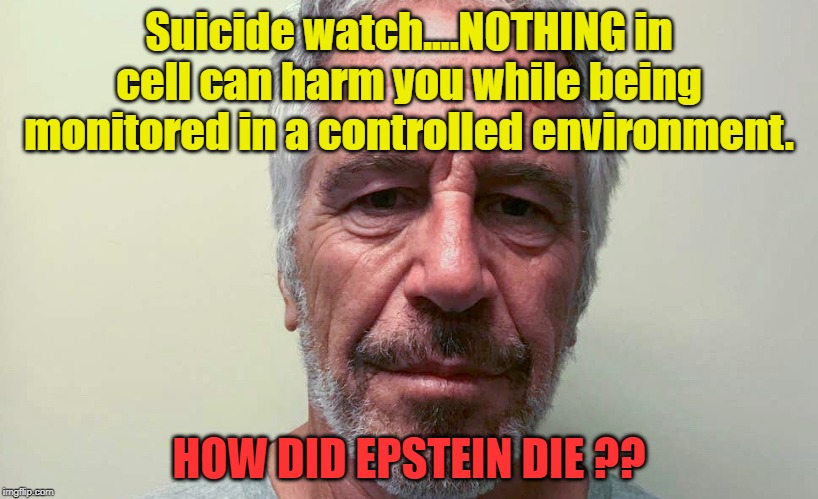 Question of the Day | Suicide watch....NOTHING in cell can harm you while being monitored in a controlled environment. HOW DID EPSTEIN DIE ?? | image tagged in politics,political meme,political | made w/ Imgflip meme maker