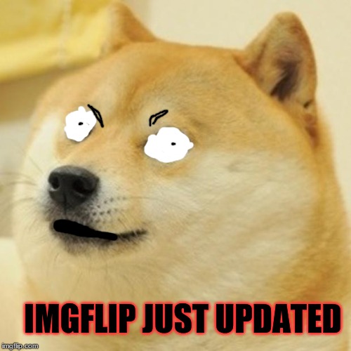 Doge Meme | IMGFLIP JUST UPDATED | image tagged in memes,doge | made w/ Imgflip meme maker