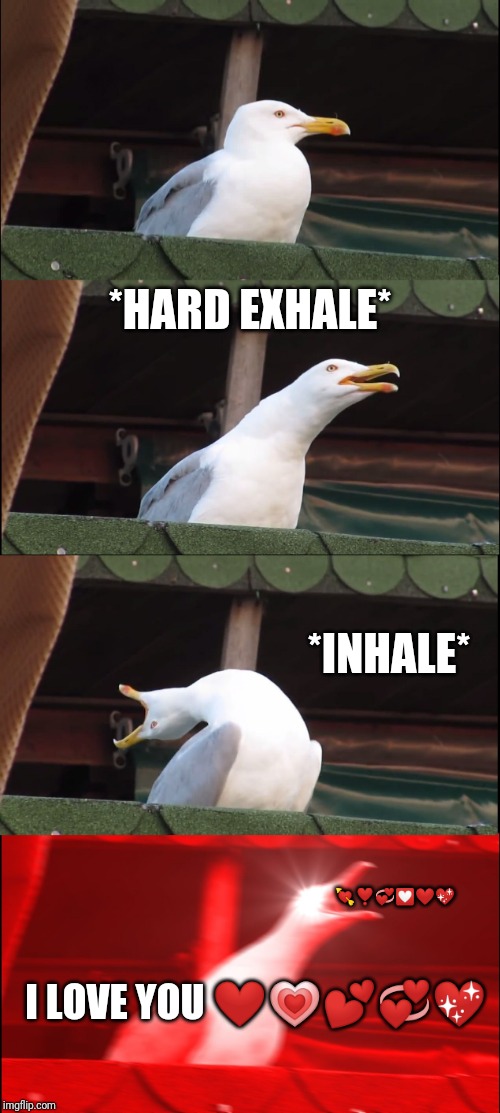Inhaling Seagull Meme |  *HARD EXHALE*; *INHALE*; 💘❣️💞💟❤️💖; I LOVE YOU ❤️💗💕💞💖 | image tagged in memes,inhaling seagull | made w/ Imgflip meme maker