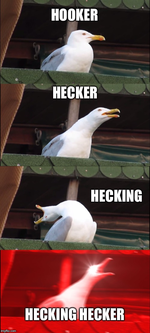 Inhaling Seagull | HOOKER; HECKER; HECKING; HECKING HECKER | image tagged in memes,inhaling seagull | made w/ Imgflip meme maker