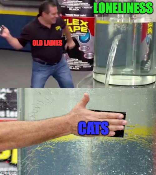 Flex Tape | LONELINESS; OLD LADIES; CATS | image tagged in flex tape | made w/ Imgflip meme maker