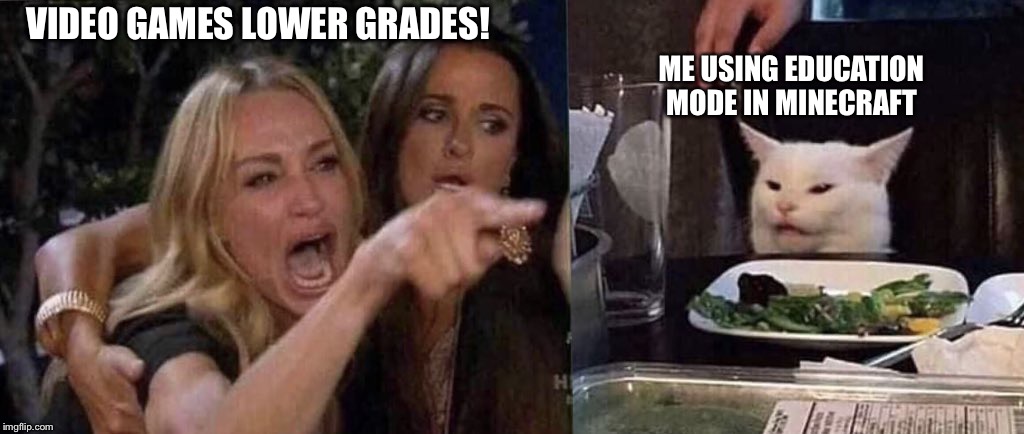 woman yelling at cat | VIDEO GAMES LOWER GRADES! ME USING EDUCATION MODE IN MINECRAFT | image tagged in woman yelling at cat,cats | made w/ Imgflip meme maker