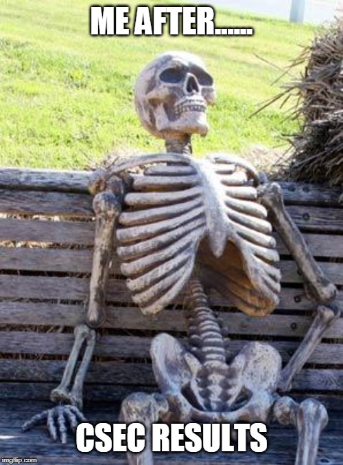Waiting Skeleton Meme | ME AFTER...... CSEC RESULTS | image tagged in memes,waiting skeleton | made w/ Imgflip meme maker