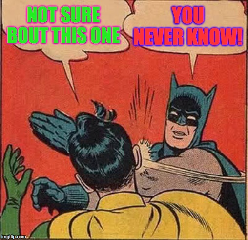 Batman Slapping Robin Meme | NOT SURE BOUT THIS ONE YOU NEVER KNOW! | image tagged in memes,batman slapping robin | made w/ Imgflip meme maker