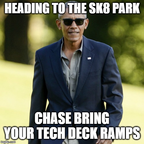ojabama | HEADING TO THE SK8 PARK; CHASE BRING YOUR TECH DECK RAMPS | image tagged in memes | made w/ Imgflip meme maker
