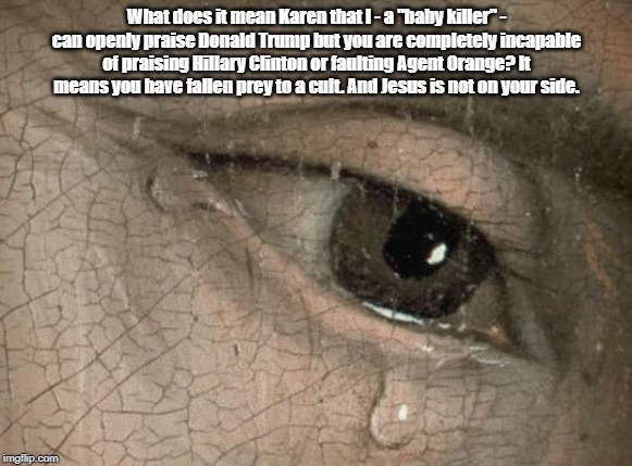 What does it mean Karen that I - a "baby killer" - can openly praise Donald Trump but you are completely incapable of praising Hillary Clint | made w/ Imgflip meme maker