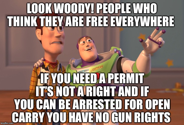 X, X Everywhere | LOOK WOODY! PEOPLE WHO THINK THEY ARE FREE EVERYWHERE; IF YOU NEED A PERMIT IT’S NOT A RIGHT AND IF YOU CAN BE ARRESTED FOR OPEN CARRY YOU HAVE NO GUN RIGHTS | image tagged in memes,x x everywhere | made w/ Imgflip meme maker