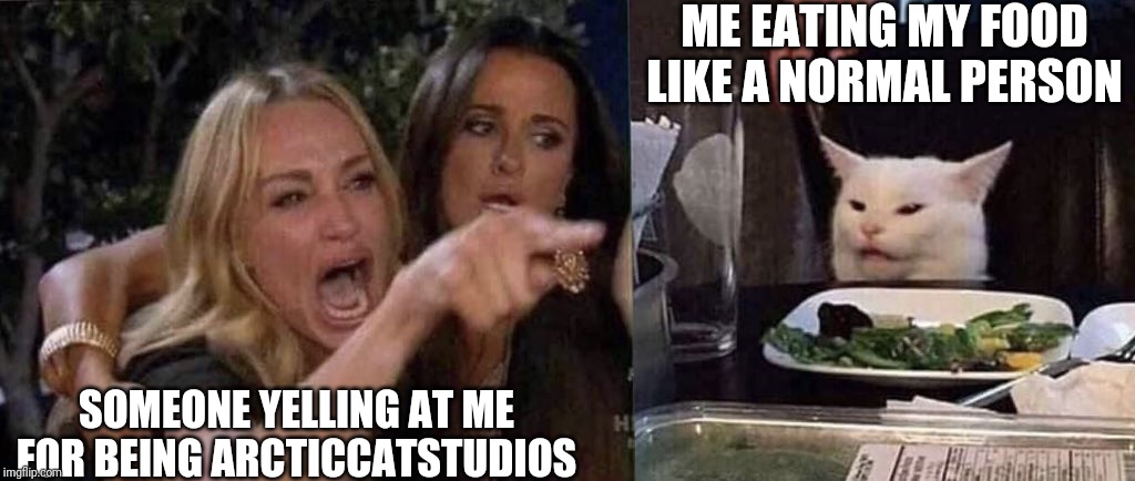 woman yelling at cat | ME EATING MY FOOD LIKE A NORMAL PERSON; SOMEONE YELLING AT ME FOR BEING ARCTICCATSTUDIOS | image tagged in woman yelling at cat | made w/ Imgflip meme maker