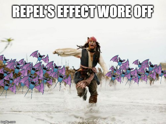 Zubat | REPEL'S EFFECT WORE OFF | image tagged in memes,jack sparrow being chased,pokemon | made w/ Imgflip meme maker