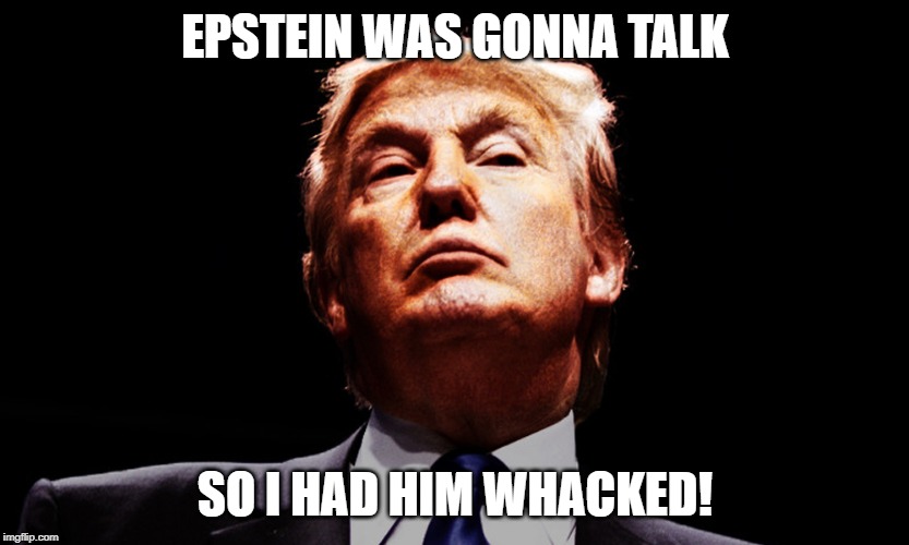 EPSTEIN WAS GONNA TALK; SO I HAD HIM WHACKED! | image tagged in donald trump,the godfather | made w/ Imgflip meme maker