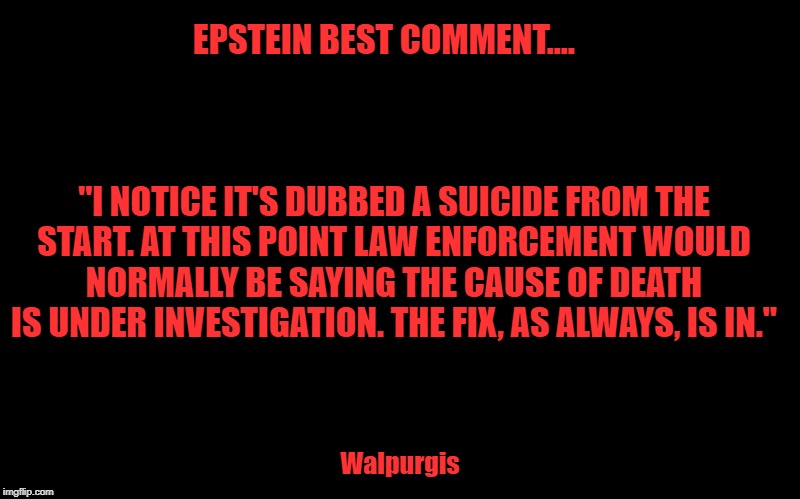 The Fix Is In.... | EPSTEIN BEST COMMENT....                             
                                                                                        
"I NOTICE IT'S DUBBED A SUICIDE FROM THE START. AT THIS POINT LAW ENFORCEMENT WOULD NORMALLY BE SAYING THE CAUSE OF DEATH IS UNDER INVESTIGATION. THE FIX, AS ALWAYS, IS IN."; Walpurgis | image tagged in politics,political meme,political | made w/ Imgflip meme maker