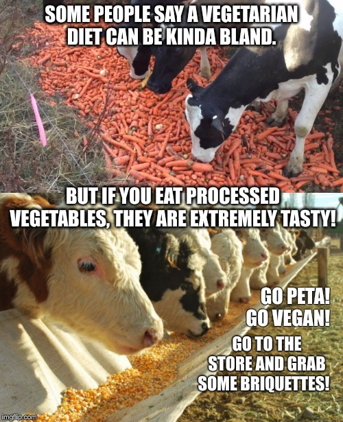 To be or not to be! | SOME PEOPLE SAY A VEGETARIAN DIET CAN BE KINDA BLAND. BUT IF YOU EAT PROCESSED VEGETABLES, THEY ARE EXTREMELY TASTY! GO PETA! GO VEGAN! GO TO THE STORE AND GRAB SOME BRIQUETTES! | image tagged in vegans,cow,bbq | made w/ Imgflip meme maker
