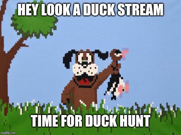 Duck hunt | HEY LOOK A DUCK STREAM; TIME FOR DUCK HUNT | image tagged in duck hunt | made w/ Imgflip meme maker