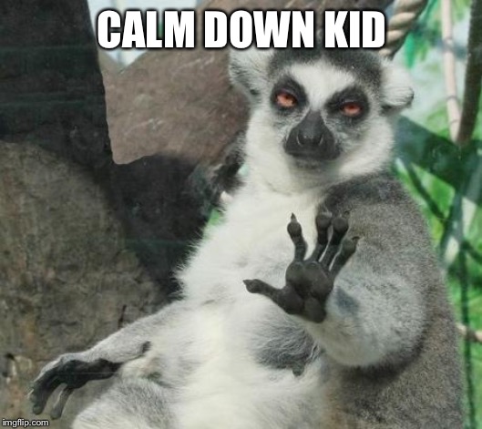 Stoner Lemur Meme | CALM DOWN KID | image tagged in memes,stoner lemur | made w/ Imgflip meme maker