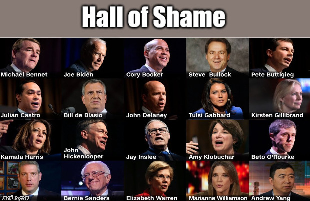 Hall of Shame - Democrats shaming themselves | image tagged in hall of shame,democrat,presidential election,trump 2020 | made w/ Imgflip meme maker