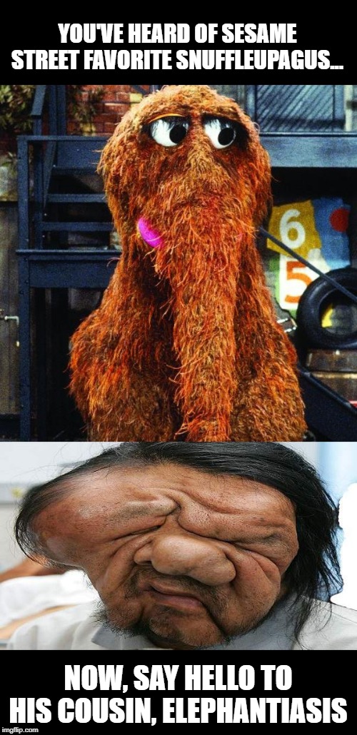 Can You Tell Me How to Get... | YOU'VE HEARD OF SESAME STREET FAVORITE SNUFFLEUPAGUS... NOW, SAY HELLO TO HIS COUSIN, ELEPHANTIASIS | image tagged in snuffleupagus | made w/ Imgflip meme maker