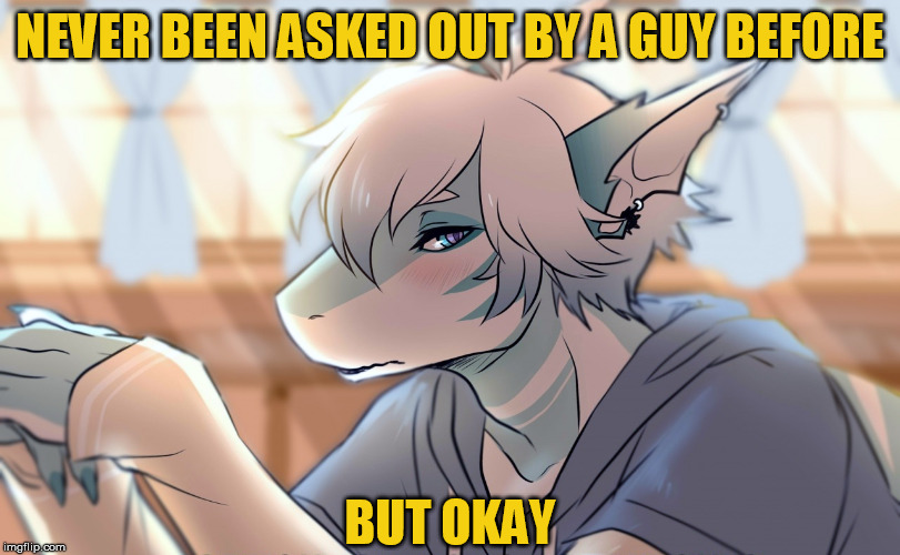 NEVER BEEN ASKED OUT BY A GUY BEFORE; BUT OKAY | image tagged in shark week,furry,dating,gay,blush,i'd hit that | made w/ Imgflip meme maker