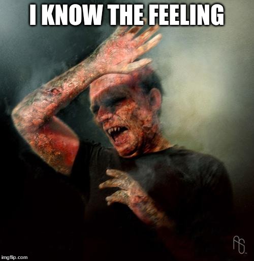 burning vampire | I KNOW THE FEELING | image tagged in burning vampire | made w/ Imgflip meme maker