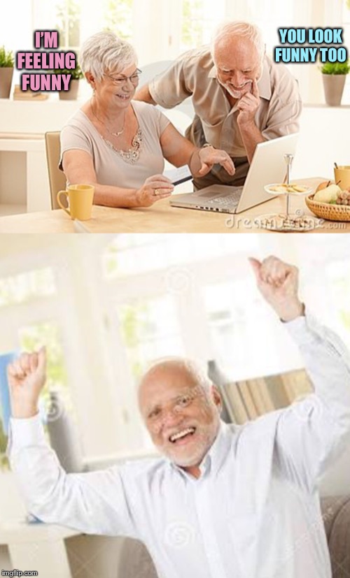 Harold Finally Wins(?) | YOU LOOK FUNNY TOO; I’M FEELING FUNNY | image tagged in harold,memes | made w/ Imgflip meme maker