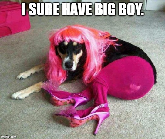 Sexy dog pose | I SURE HAVE BIG BOY. | image tagged in sexy dog pose | made w/ Imgflip meme maker