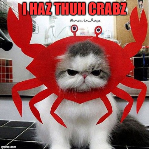 Crabby Cat | I HAZ THUH CRABZ | image tagged in crabby cat | made w/ Imgflip meme maker