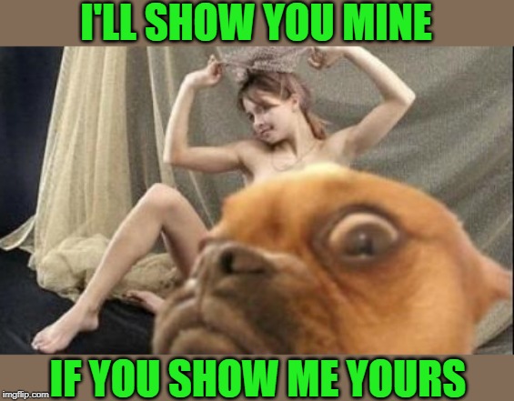 I'LL SHOW YOU MINE IF YOU SHOW ME YOURS | made w/ Imgflip meme maker