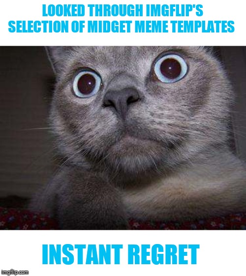 Freaky eye cat | LOOKED THROUGH IMGFLIP'S SELECTION OF MIDGET MEME TEMPLATES INSTANT REGRET | image tagged in freaky eye cat | made w/ Imgflip meme maker
