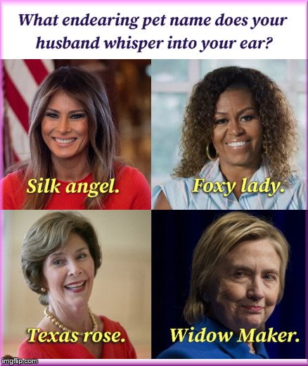 Pet Names of the First Ladies | image tagged in first ladies' endearing pet names,melania trump,michelle obama,laura bush,hillary clinton,clinton associates' suicides | made w/ Imgflip meme maker