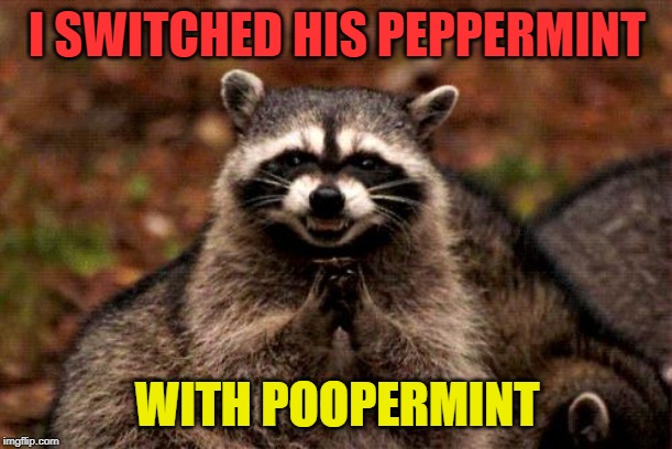 Evil Plotting Raccoon Meme | I SWITCHED HIS PEPPERMINT WITH POOPERMINT | image tagged in memes,evil plotting raccoon | made w/ Imgflip meme maker