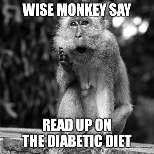 Wise Monkey | WISE MONKEY SAY; READ UP ON THE DIABETIC DIET | image tagged in wise monkey | made w/ Imgflip meme maker