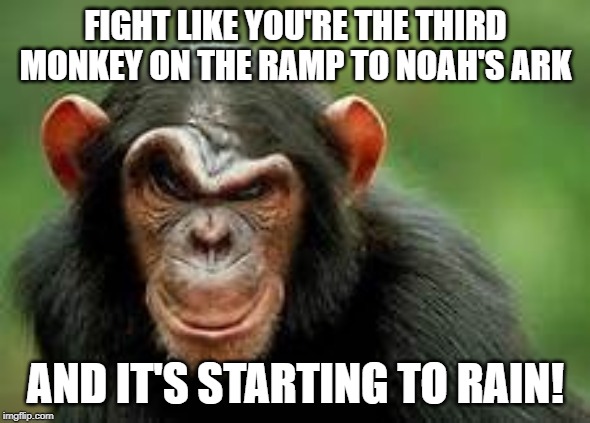 chimp scowl | FIGHT LIKE YOU'RE THE THIRD MONKEY ON THE RAMP TO NOAH'S ARK; AND IT'S STARTING TO RAIN! | image tagged in chimp scowl | made w/ Imgflip meme maker