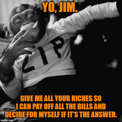 Smoking monkey | YO, JIM. GIVE ME ALL YOUR RICHES SO I CAN PAY OFF ALL THE BILLS AND DECIDE FOR MYSELF IF IT'S THE ANSWER. | image tagged in smoking monkey | made w/ Imgflip meme maker