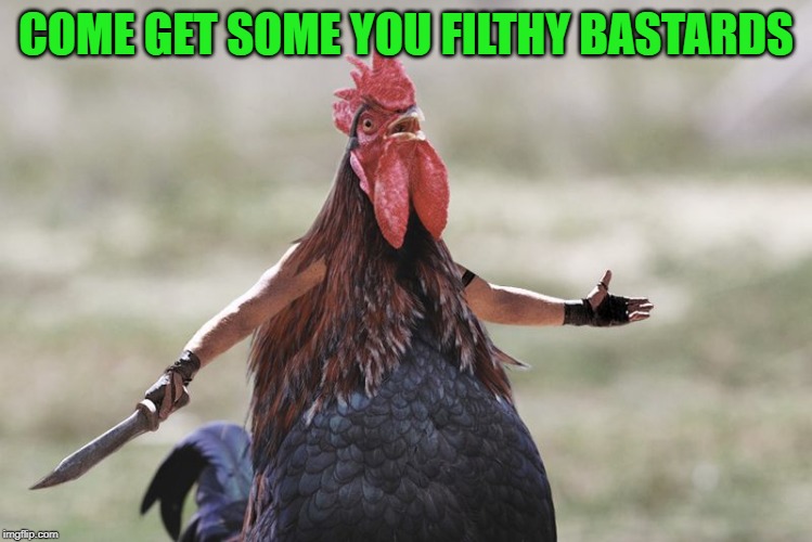 Gladiator Rooster | COME GET SOME YOU FILTHY BASTARDS | image tagged in gladiator rooster | made w/ Imgflip meme maker