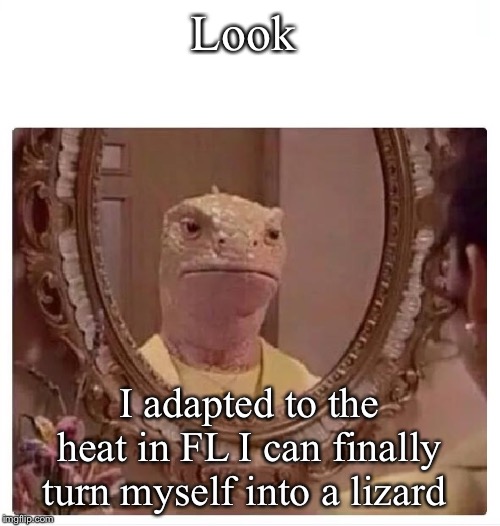 LIZARD REPTILIAN IN THE MIRROR | Look; I adapted to the heat in FL I can finally turn myself into a lizard | image tagged in lizard reptilian in the mirror | made w/ Imgflip meme maker