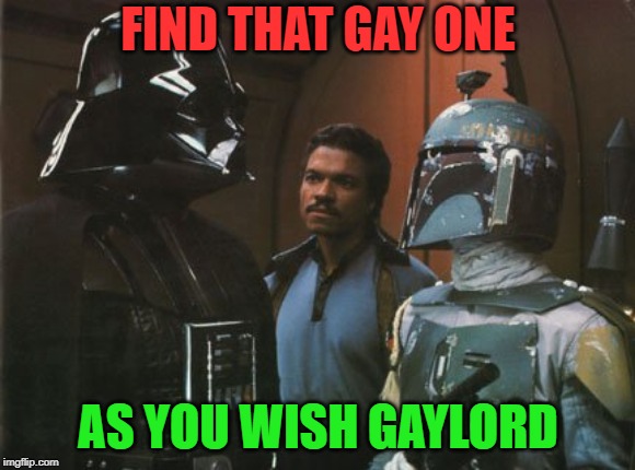 Star Wars Darth Vader Altering the Deal  | FIND THAT GAY ONE AS YOU WISH GAYLORD | image tagged in star wars darth vader altering the deal | made w/ Imgflip meme maker