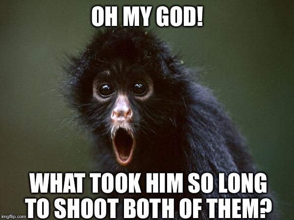 ooooh | OH MY GOD! WHAT TOOK HIM SO LONG TO SHOOT BOTH OF THEM? | image tagged in ooooh | made w/ Imgflip meme maker