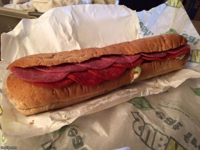 WTF SUBWAY | image tagged in wtf subway | made w/ Imgflip meme maker